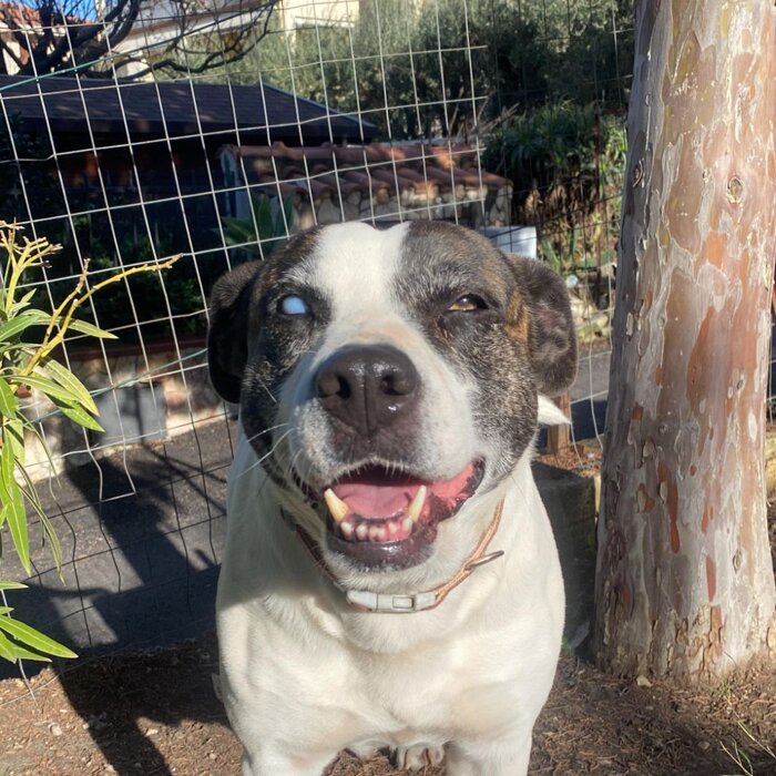 2ff67075-a807-45f6-b5af-c849f8e86588