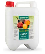 concentrati-goghy-toppyng-frutta-e-concentrati-assortiti