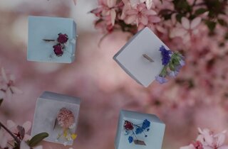 panna.jpeg panna.jpeg