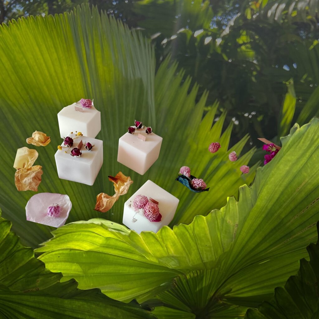 prato verde.jpeg prato verde.jpeg