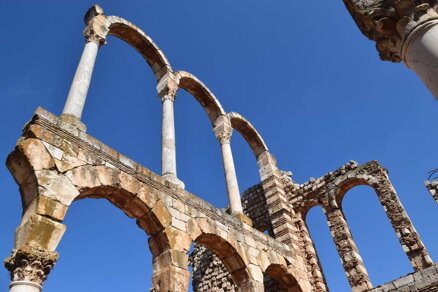 429a3fd1-ba40-4ea2-9a97-06a6a74464de