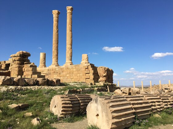 349f63c4-dd51-4b7f-af8e-e183e289f911