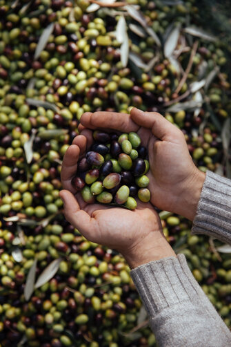 20231117_tenuta pacifica-118.jpeg