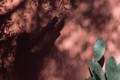 20231117_tenuta pacifica-32-modifica-2.jpeg