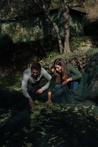 20231117_tenuta pacifica-90-modifica-2.jpeg