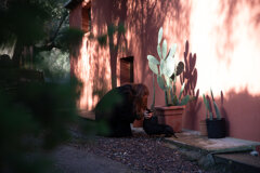 20231117_tenuta pacifica-27.jpeg