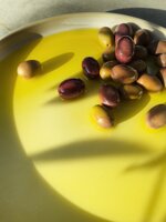 olio-evo-monocultivar-taggiasca-20242025-di-tenuta-pacifica-bottiglia-da-500-ml