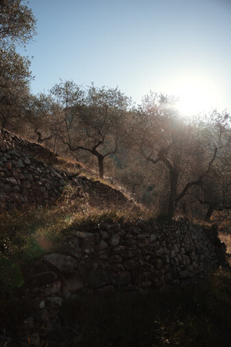 20231117_tenuta pacifica-15-modifica.jpeg