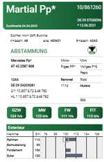 martial-pp-matricola-de-09-57035096-categoria-fleckvieh