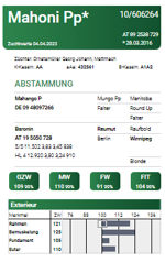 mahoni-pp-matricola-at-89-2538-729-categoria-fleckvieh