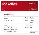 makellos-matricola-at-426492174-categoria-pinzgauer