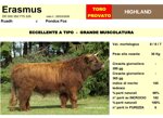 erasmus-matricola-de000350775326-categoria-highland