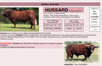 hussard-matricola-fr1531055308-categoria-salers