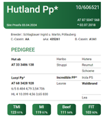 hutland-pp-matricola-at-875047568-categoria-fleckvieh