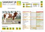 samgrat-jb-matricola-fr-3929816873-categoria-montbeliarde