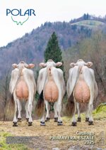 categoria-brown-swiss-polar