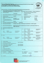 gandalf-pp-matricola-de-0665430573-categoria-piemontese