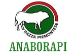 new-razza-piemontese-categoria-piemontese
