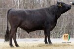 mr-hirashi-matricola-de-0957160254-categoria-wagyu
