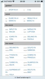 embrione-berni-per-cremonesina