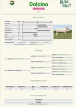 embrioni-dolcino-per-cipressina