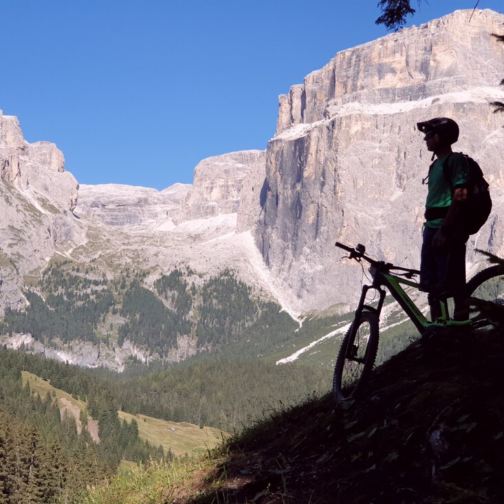 64286a65-7096-4d79-958a-59cdedcf9378