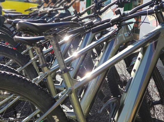 c1559694-41f3-4cd5-bc12-19e94ff958f7