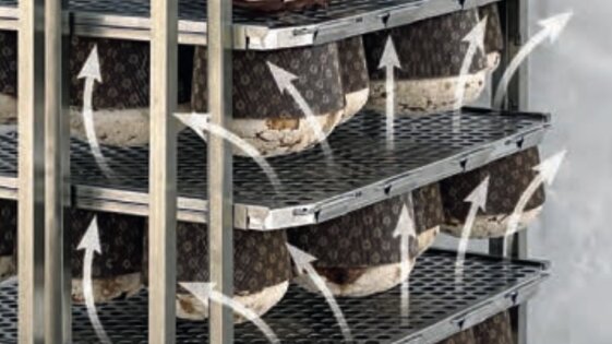 e723a5d7-7e0a-4d2c-83a7-ffd80457ef92.jpeg e723a5d7-7e0a-4d2c-83a7-ffd80457ef92.jpeg