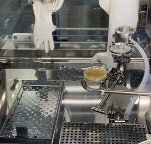 a63ff0f2-68e1-48c4-b679-e82e8ceee853