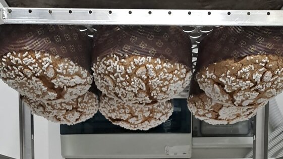 98645682-c901-4e35-8c8f-003312621a63