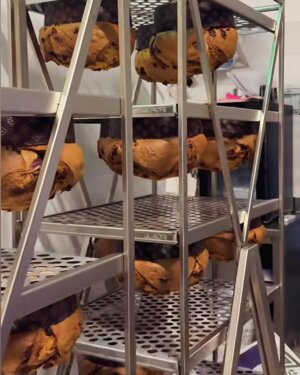 teglia-girapanettoni-40x60-carrello-unox-bakerest