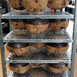 carrello-portateglie-smart-60x40p