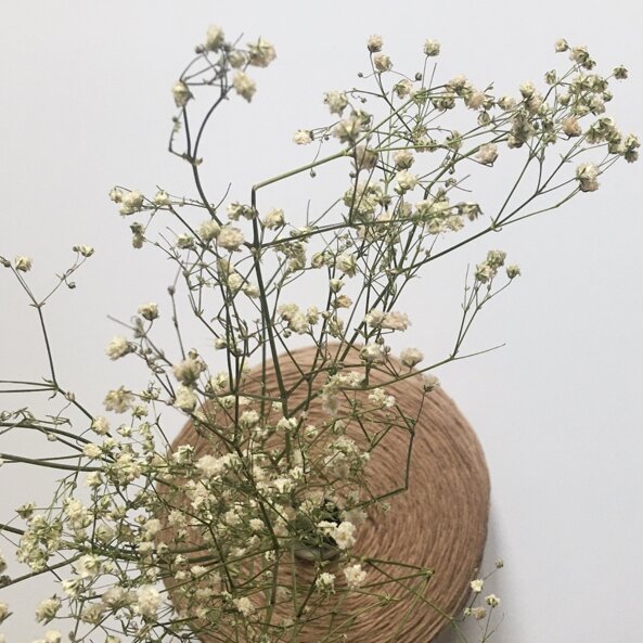 e151e34e-8249-46f2-8087-228abd8f589b e151e34e-8249-46f2-8087-228abd8f589b