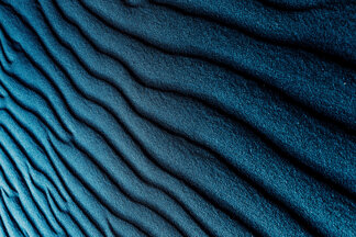 8515ff05-72e7-4f75-94f4-9527317e1ed0