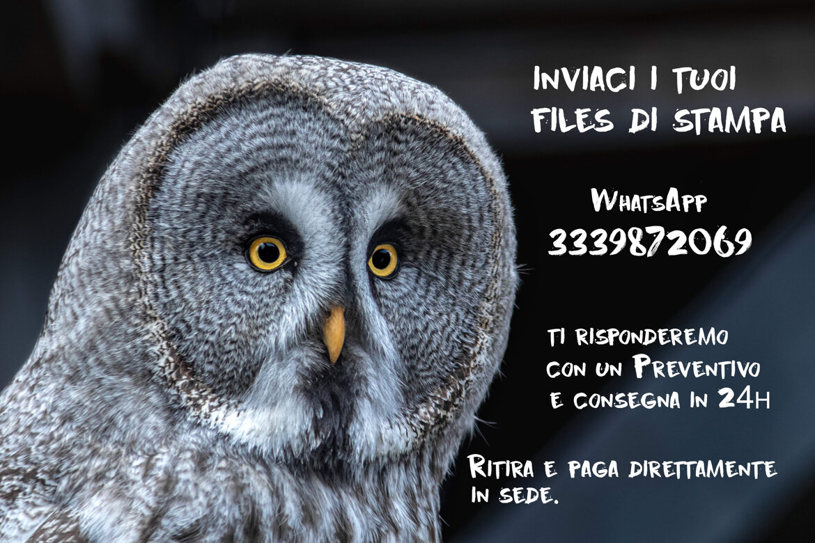 a77cc24e-afef-45ac-9439-7d7ceca4808c