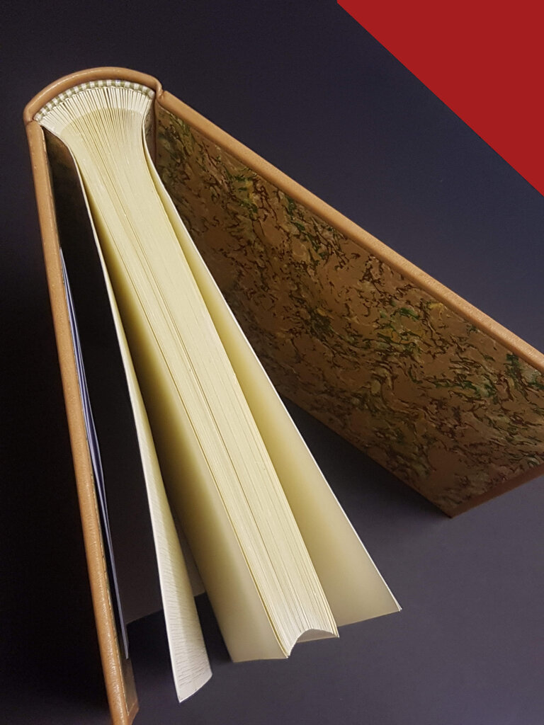 479603fb-9109-43cc-a32f-f3729563033b 479603fb-9109-43cc-a32f-f3729563033b