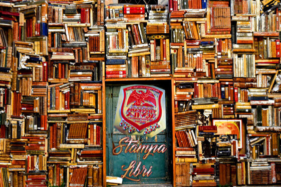 5011dcf5-12f0-4a6f-b933-2400f0de1028