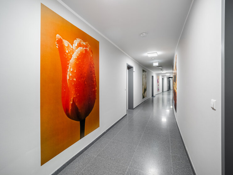 fcb6429d_interior_02 (1)-hdr.jpeg