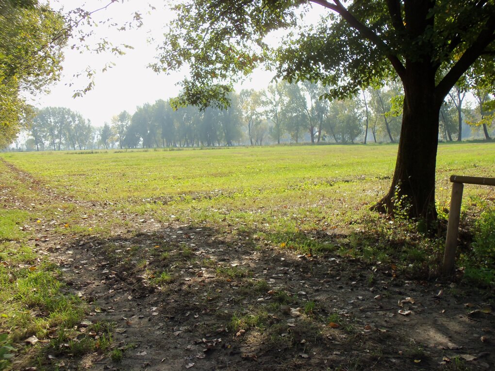 parco Ticinello Milano