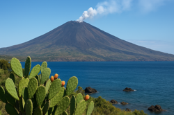 Imperial gin - Le materie prime Imperial gin - Le materie prime