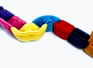 438339e7-5d1b-4d3f-a61c-a37b3ed633ca