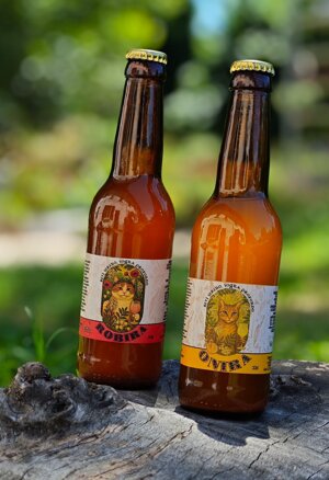 bevande-fermentate-selvatiche-confezione-regalo