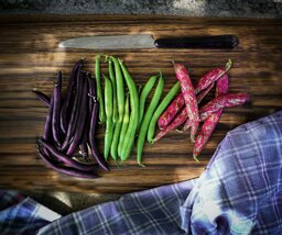 ca8b5906-0b9b-4948-8aba-7c18c738e026