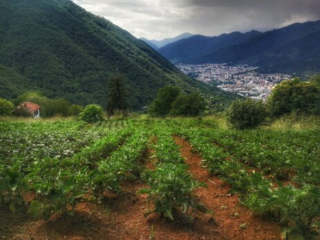 25556e9c-e157-4f8d-a41a-75d57f1cb85e 25556e9c-e157-4f8d-a41a-75d57f1cb85e