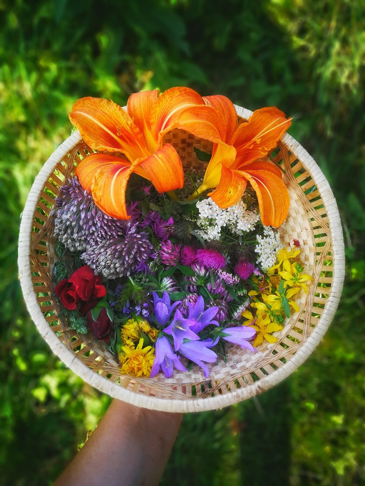 8e682e2c-abb8-4ac4-a18c-29ba1d7e9abb.jpg 8e682e2c-abb8-4ac4-a18c-29ba1d7e9abb.jpg