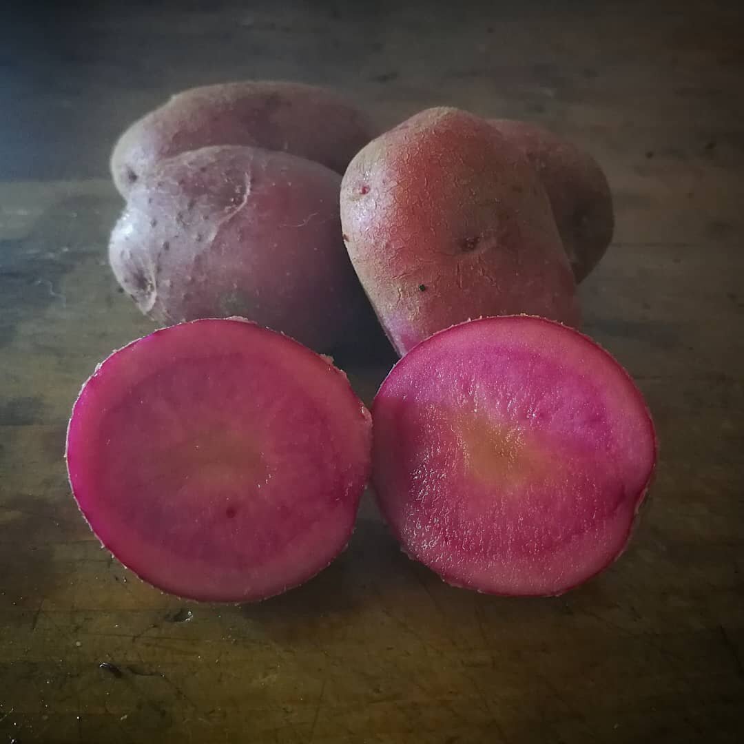 34de181c-d845-4c17-ac0f-41ed8d7ae6af.jpg 34de181c-d845-4c17-ac0f-41ed8d7ae6af.jpg