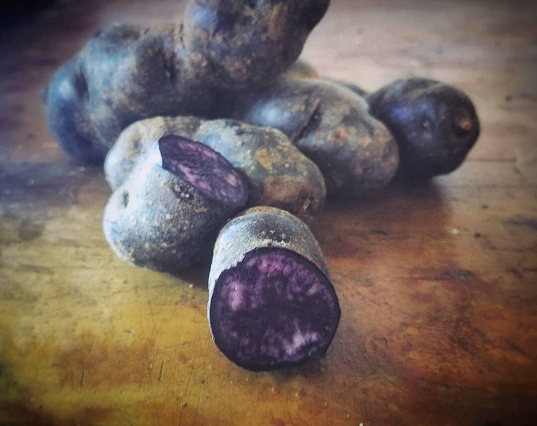 a4e010d6-98d6-4725-9072-5c7b089b50e9.jpg a4e010d6-98d6-4725-9072-5c7b089b50e9.jpg