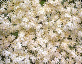 17c3a2a5-de82-4f55-9df5-3c048c44fd6b