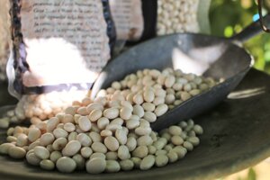 fagioli-del-purgatorio