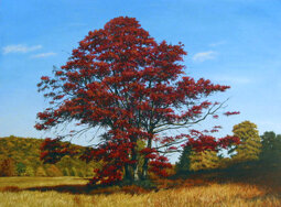 70a8dc04-e0ef-43cd-b80b-056253698f15 70a8dc04-e0ef-43cd-b80b-056253698f15